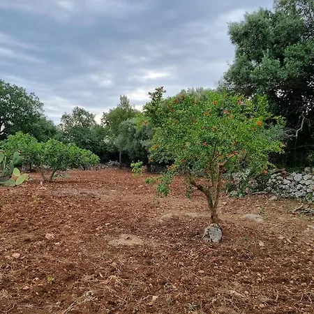 Casa Di Campagna Hébergement de vacances