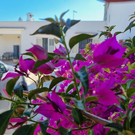 Casa Di Campagna Hébergement de vacances *