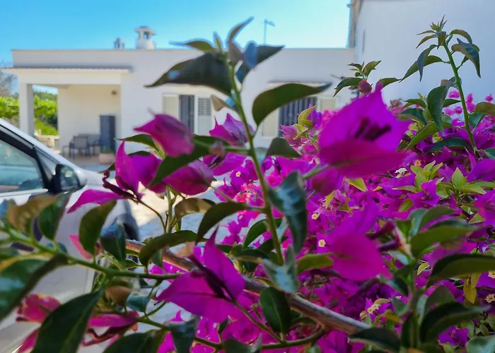 Casa Di Campagna Ferienhaus *